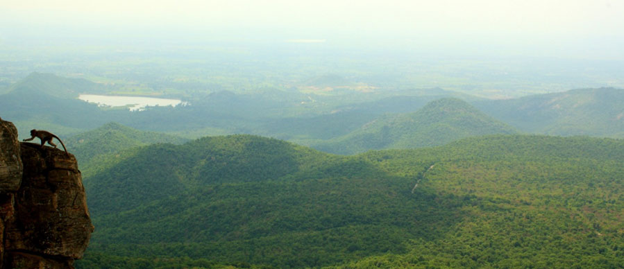 bandipur 3 days tour