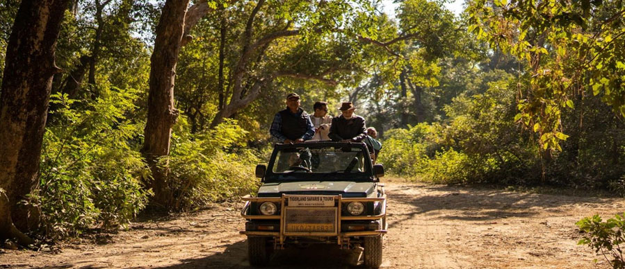 bandipur tour from delhi