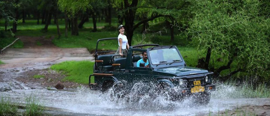 bandipur jeep safari tour