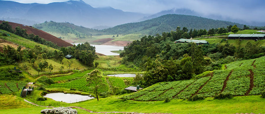 bandipur nearby location