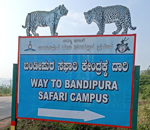 bandipur new safari campus