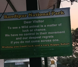 bandipur visitor information