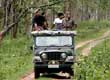 bandipur jeep safari