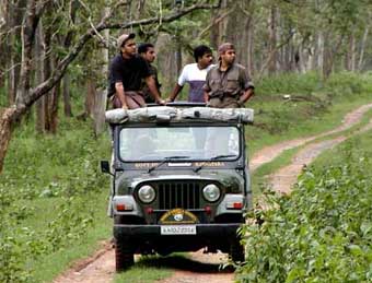 jeep safari in bandipur