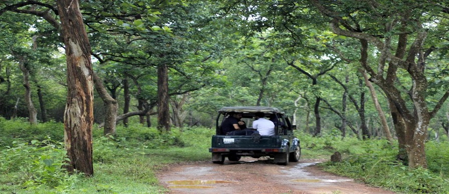 monsoon tour bandipur