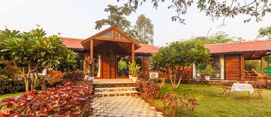 tiger paw resort