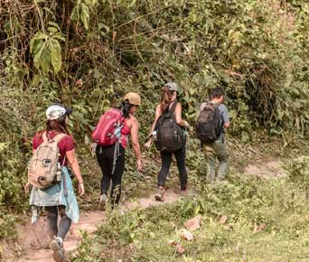 trekking in bandipur